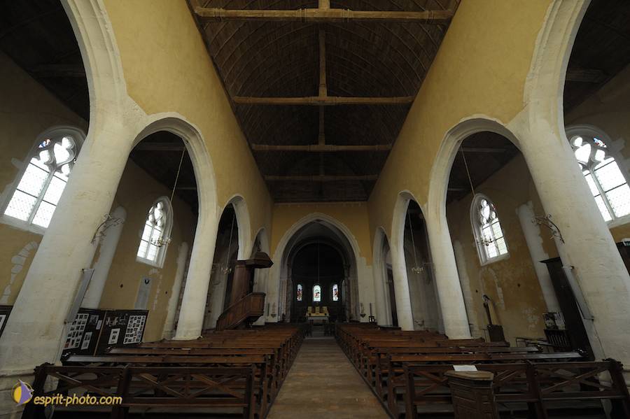 Nom de l'image : D30080477_1_(c)Norbert-JUNG — Description :